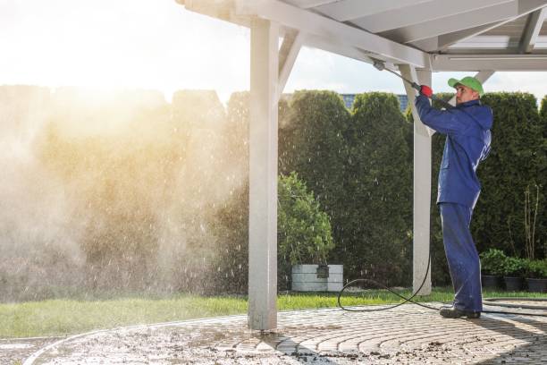 Best Solar Panel Cleaning  in China, TX