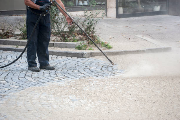 Best Dumpster Area Cleaning  in China, TX
