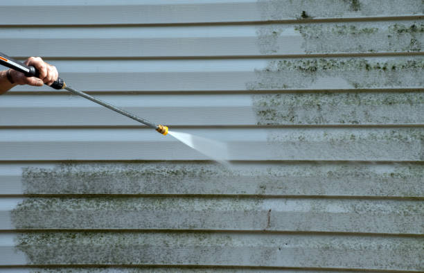 Best Patio and Deck Pressure Washing  in China, TX