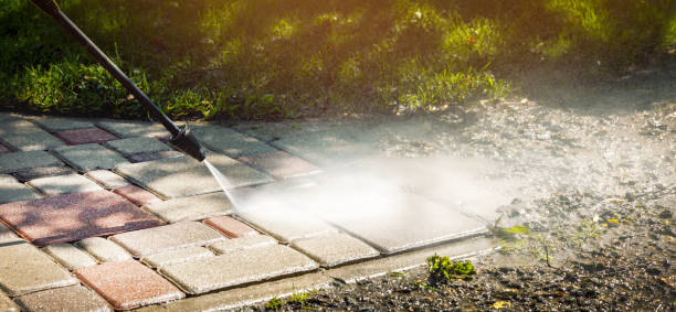 Best Fence Cleaning  in China, TX